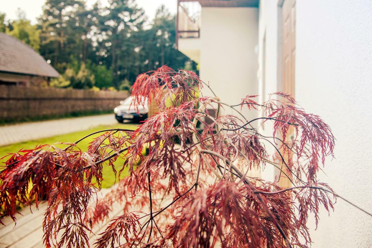 Urlop Przy Wydmach Apartman Międzywodzie Kültér fotó